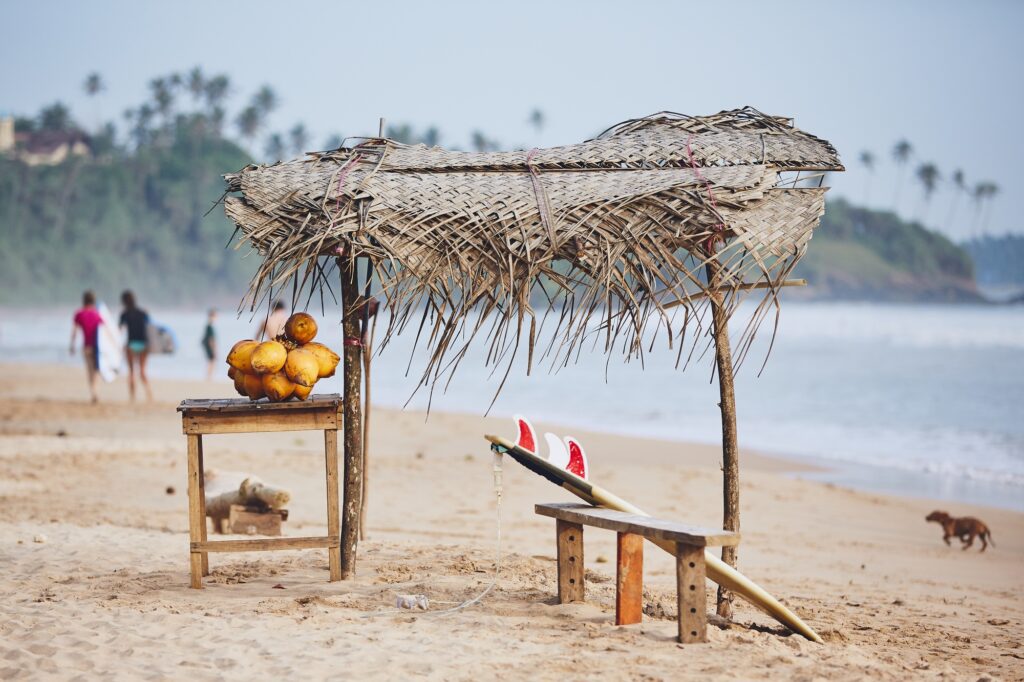 Stall with coconut against beach with surfers. Matara, Sri Lanka