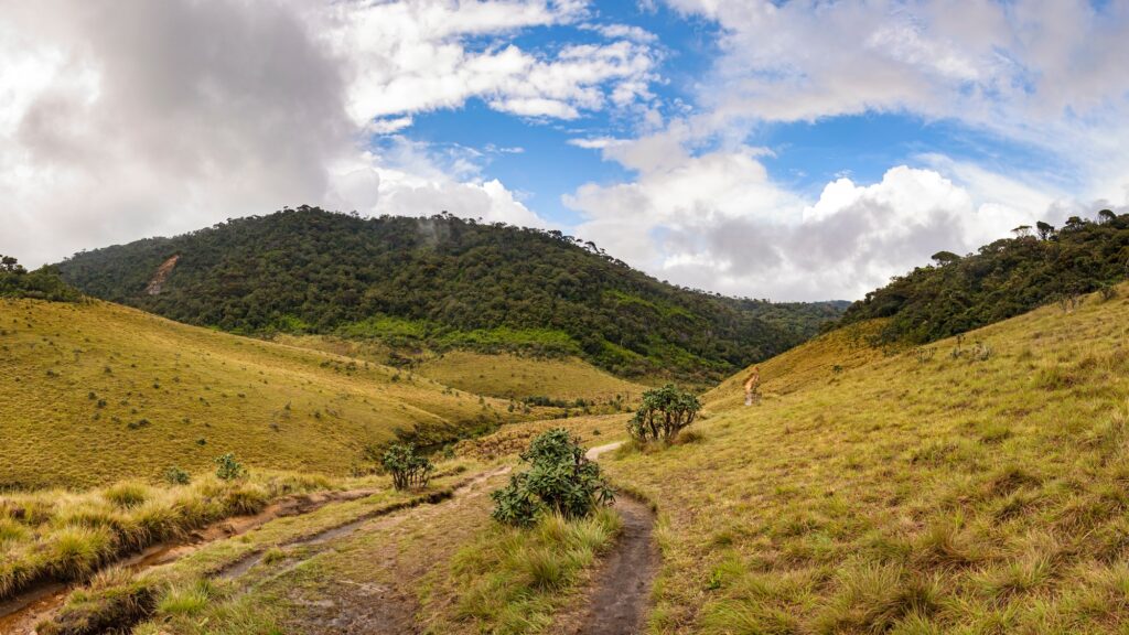 Horton Plains National Park: A Journey to World’s End